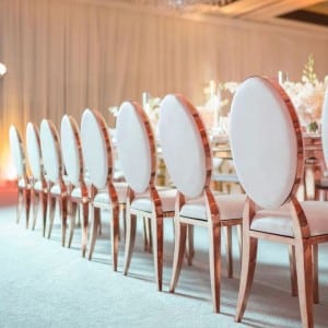 Rose Gold Dior Chair - Image 3
